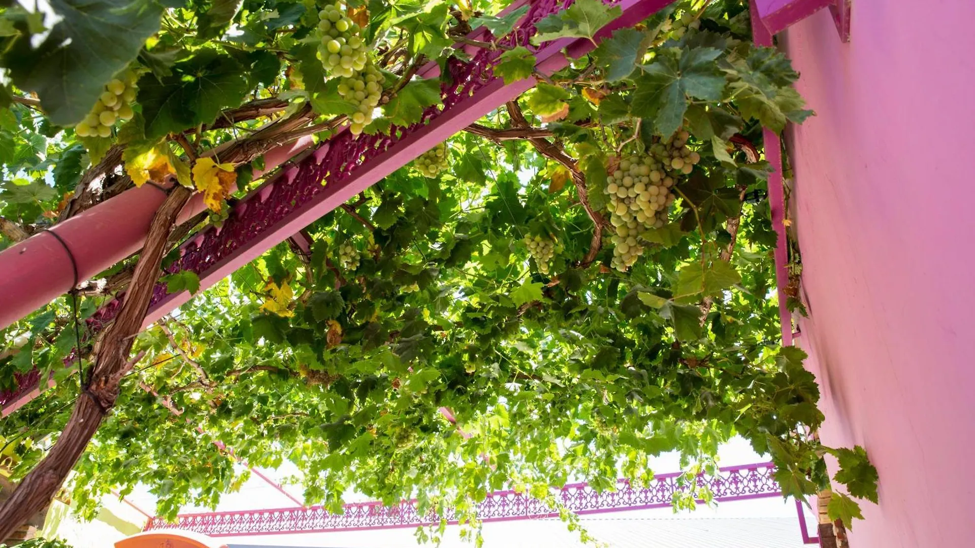 Finca Ferrari Paz Y Relax Coin 0*,  Spain